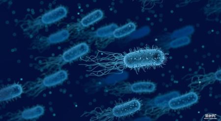 Science：粪便移植助力癌症免疫治疗，让治疗无效的患者产生应答