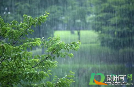 2021梅雨季节如何样防止家里发霉1