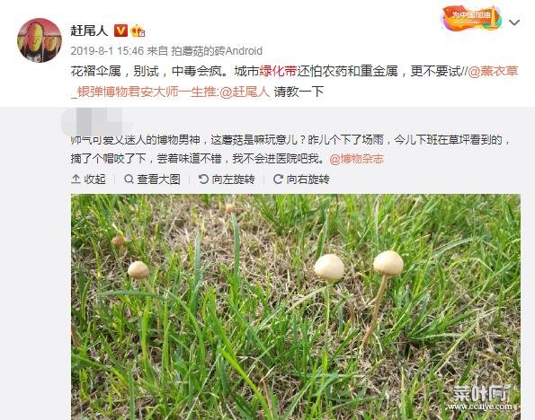 为什么绿化带里长蘑菇不能吃？绿化带的水也不能喝原因是这样的