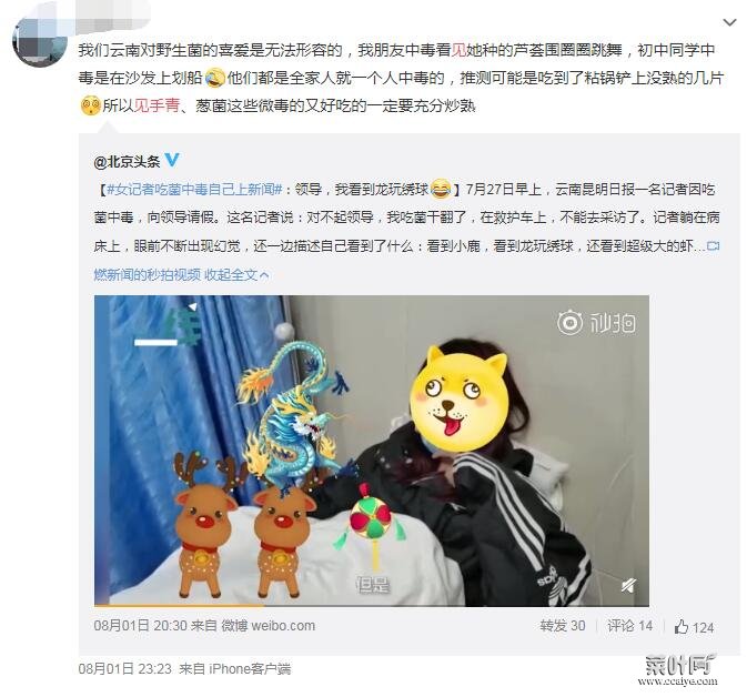 见手青中毒会见到小人？见手青的毒素是什么？探索解读