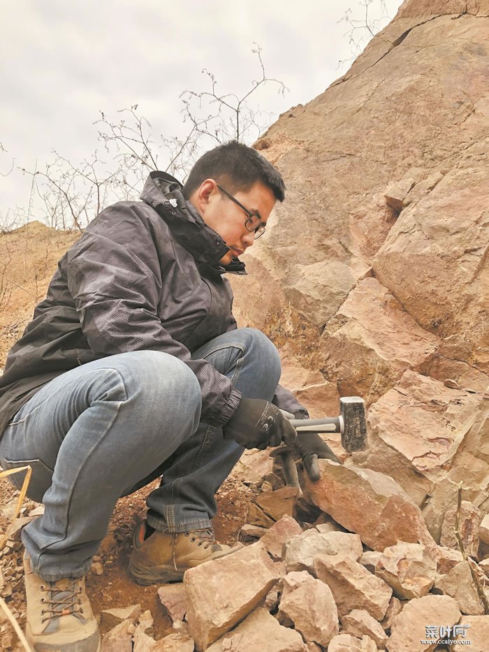 武汉发现“江夏鱼”化石 证明4亿年前这里曾是河口三角洲的滨海地貌