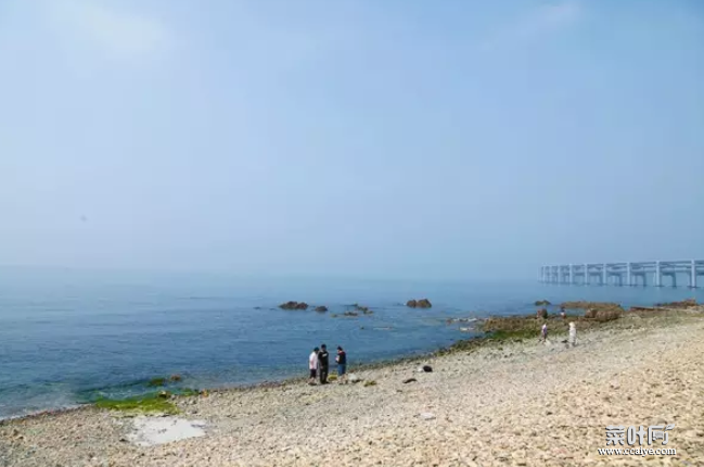 大连海水浴场哪个好-景点推举 大连适合几月份去旅行