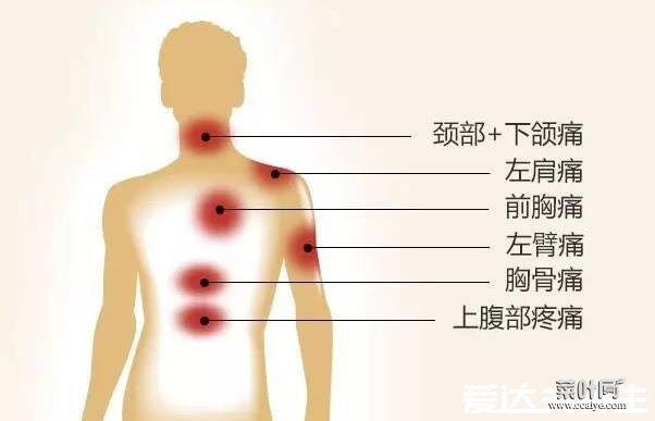 后背疼痛位置图详解，后背偏下疼可能是消化系统疾病