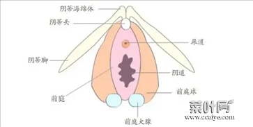 第一次怎么找到正确位置 正确的进入的位置图解