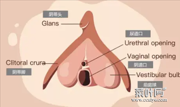 第一次怎么找到正确位置 正确的进入的位置图解