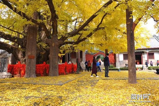 日照为什么从临沂划分出去