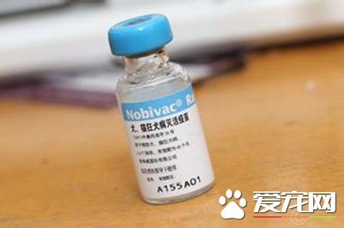 狂犬疫苗的症状 间或有部分人会浮现皮疹