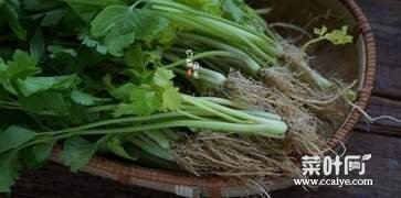 芹菜根怎么吃最好 芹菜根的做法