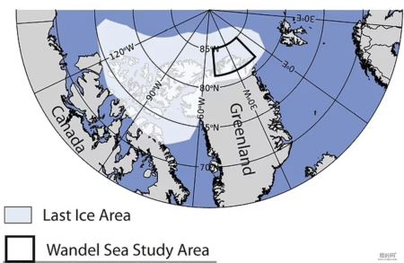 北极48度！“最终的冰区”立即融化，4.1亿人和北极熊将无家可归