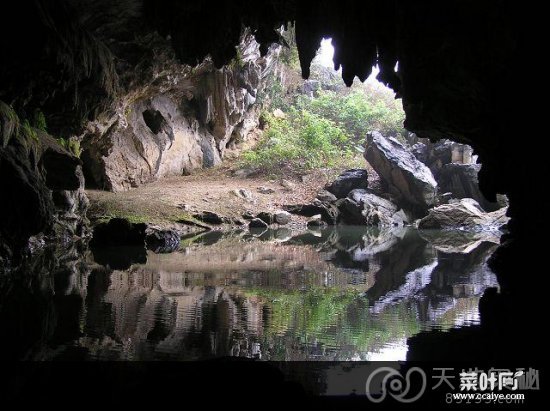 惊闻：乡村六旬老太居然生下一条白蛇