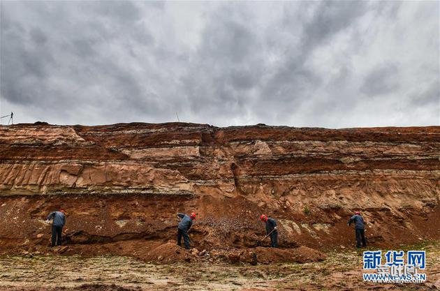 现场围观——延吉地区龙山三角龙化石群发掘