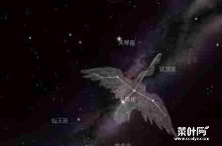 大到你怀疑人生的“星星”，宇宙最大十大星球