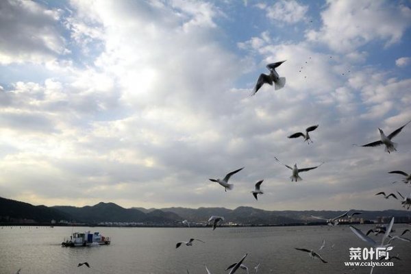 昆明十大拍照圣地，滇池和九乡景区上榜