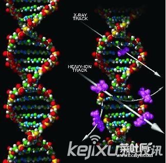 外星人真的存在吗？外星人是何模样