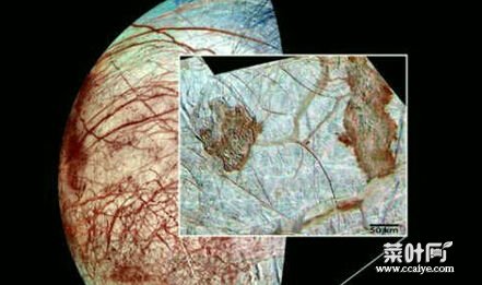 外星生物确实存在！解析外星生物真实存在的十种迹象