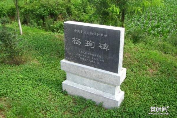 杨珣墓被盗事件:曾经因农户挖土而损？墓主是杨玉环叔父