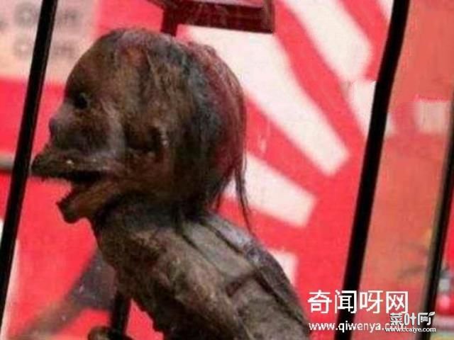 水猴子水鬼图片大全，水鬼拉人替死可投胎转世