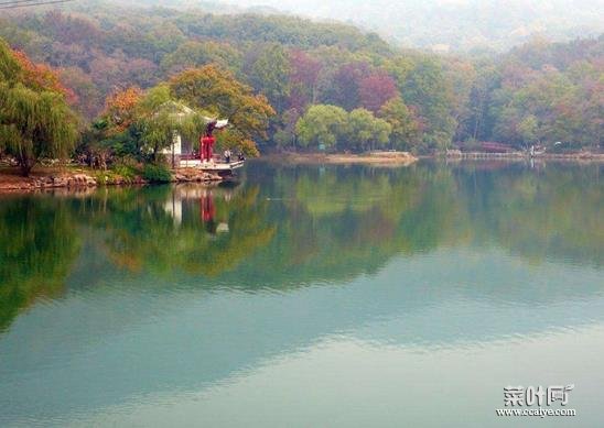 南京十大著名湖泊排行榜，紫霞湖称为林海中的明珠、白鹭洲公园风景优美