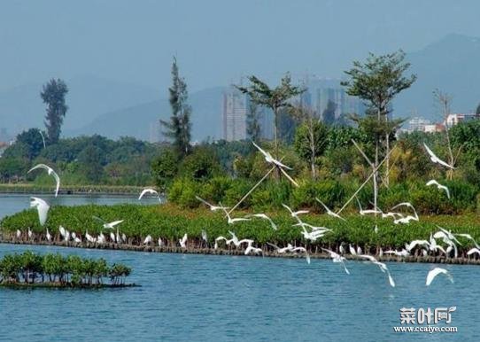 南京十大著名湖泊排行榜，紫霞湖称为林海中的明珠、白鹭洲公园风景优美