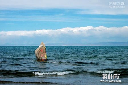 铜山湖水怪探秘：皮肤粗糙带有铜钱般灰色鳞片