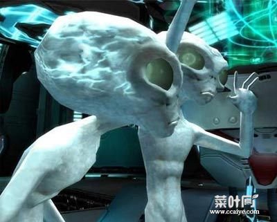 令人惊恐神秘奇异的生物：屈膝幽灵、巨头干尸