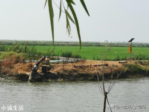 农村种植水稻，田土带沙性好，还是粘土好？