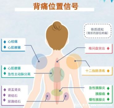 后背疼痛图片位置示意图及病情对比图，警惕后背偏下的消化系统疾病