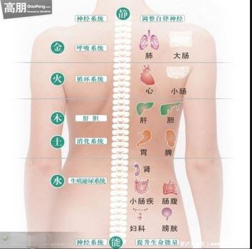 后背疼痛图片位置示意图及病情对比图，警惕后背偏下的消化系统疾病