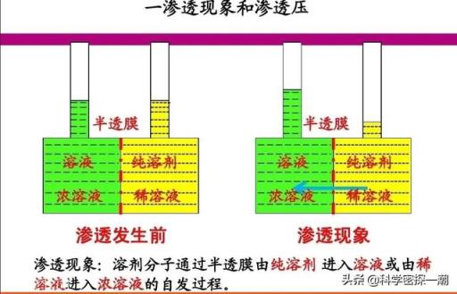 一半是沙漠的以色列，几乎不下雨，为什么能让一吨淡水仅卖五块钱？