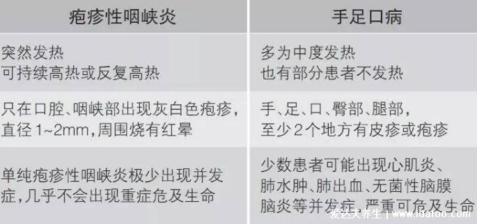 小儿手足口进展过程演示图，出疱疹顺序图片及症状表现