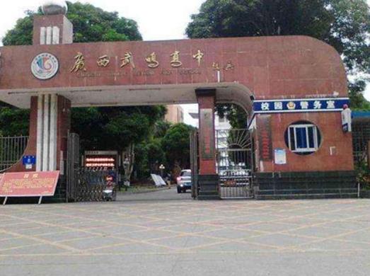 广西十大高中排名，广西柳州高级中学、柳州铁一中学都是很有名的学校