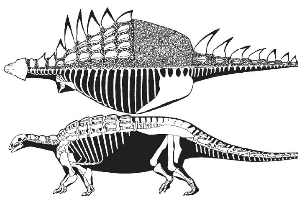 白垩纪多刺甲龙:加斯顿龙 全身布满坚硬背甲？带有尖刺