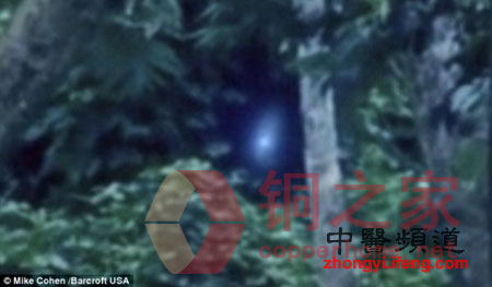 亚马逊 外星生物被游客意外拍摄照片曝光