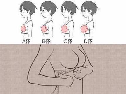 罩杯abcdefg怎么分大小？A到N罩杯真人演示图片，胸罩罩杯尺寸对照表