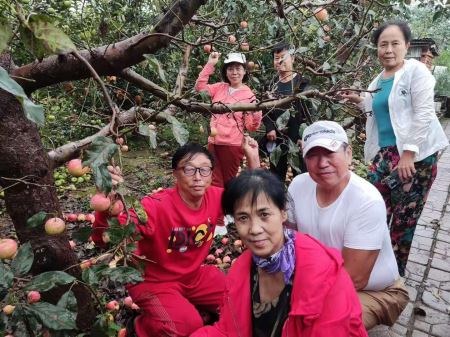 锦州知青2号团队，唱响南山廉政苹果园，欢聚一起留下美好的回忆