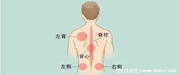 右后背痛病情对照图，需警惕四种病（女性更易得风湿）