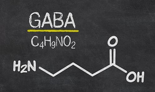 AlleZelle佐律吃出处于良好的状态来，新资源食品GABA