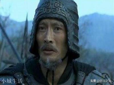 曹魏五子良将都有副将吗？，这些副将的武力谋略值又怎么？