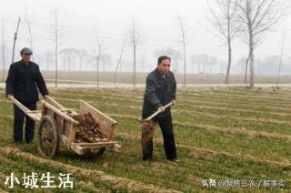 羊粪对土壤及作物都有什么作用？