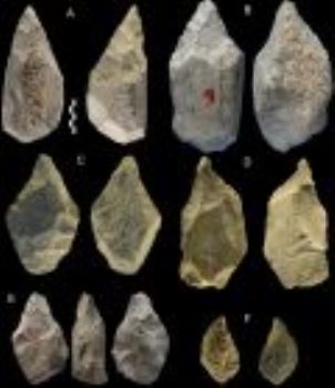 意大利考古发现40万年前古人类已利用大象骨头制作各种工具