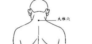 拔罐12个位置示意图 祛湿拔罐拔哪个位置图