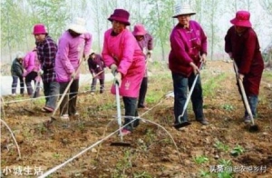 村民吃粮不种粮，难道靠种粮食致富并不现实？原因何在？