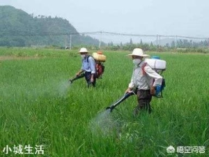 以前稻田农民常见的“点油灯”杀虫方法为什么没有了？这种杀虫方式作用大吗？？？