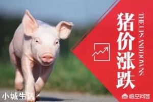 春节过后，猪价走势如何？