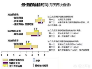 怎么才能掌握母猪的适宜配种时间？