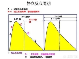 怎么才能掌握母猪的适宜配种时间？