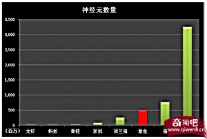 章鱼真的是来自外星的物种吗？?为何电影里的外星生物都长的像章鱼