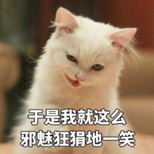 土猫多少钱一只(土猫认主人是真的吗)