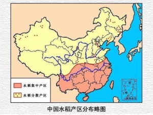 为什么信阳会成为河南唯一一个吃大米的城市，而不和其它城市一样吃面食？