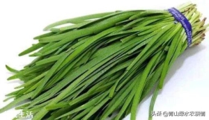 进入九月份，现在农民可以种植哪些蔬菜呢？大蒜开始种植了吗？